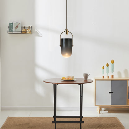 Curved Glass Pendant Lamp