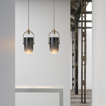 Curved Glass Pendant Lamp