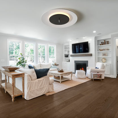 Danish UFO Ceiling Lamp