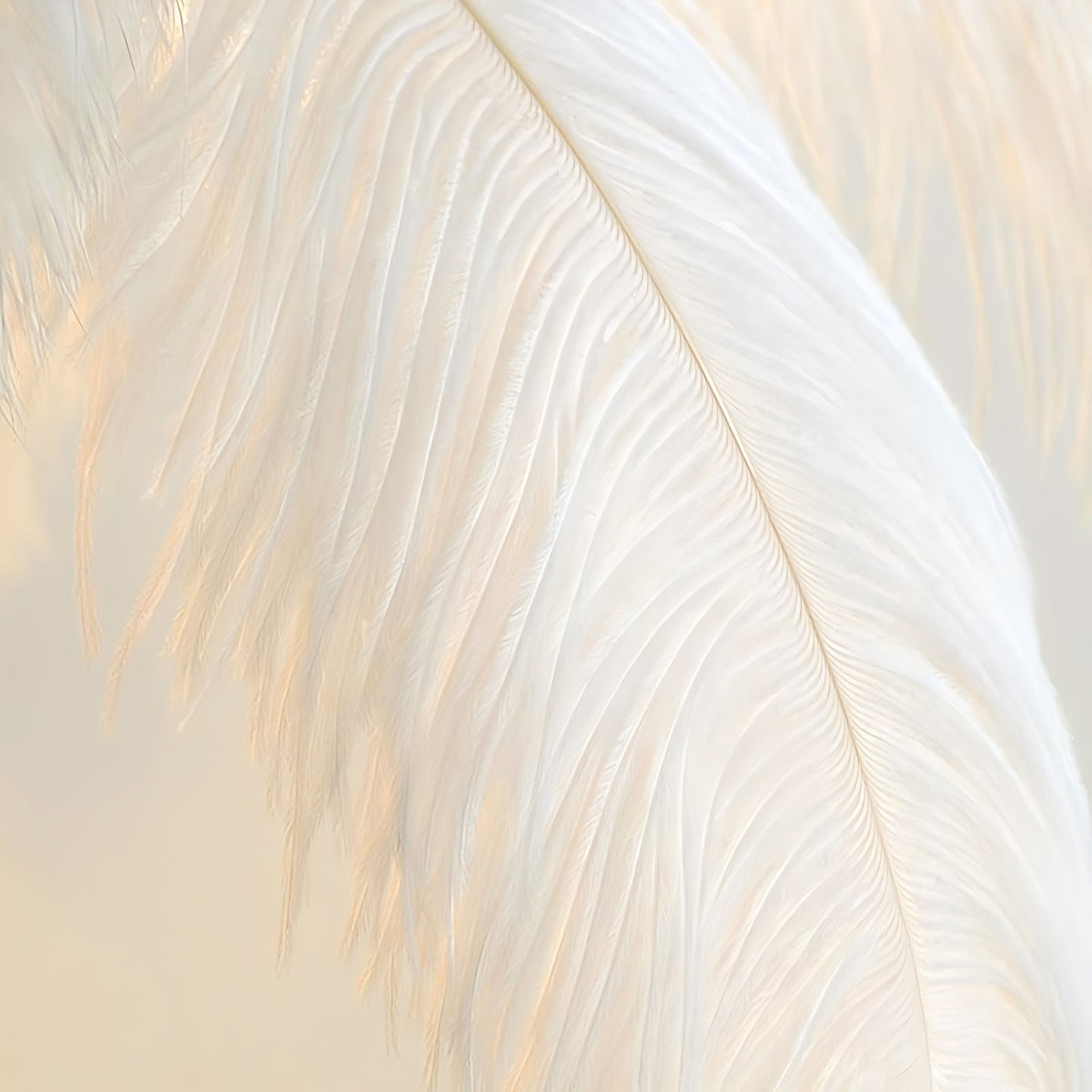 Ostrich Feather Floor Lamp