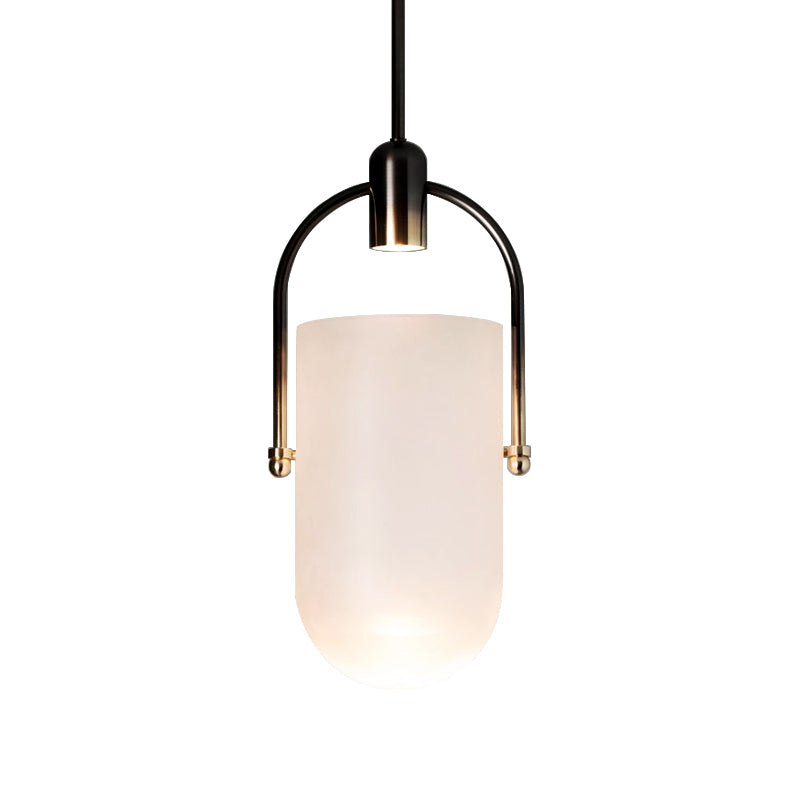 Curved Glass Pendant Lamp