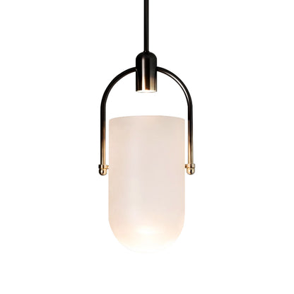 Curved Glass Pendant Lamp